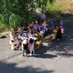 DCIM100MEDIADJI_0073.JPG